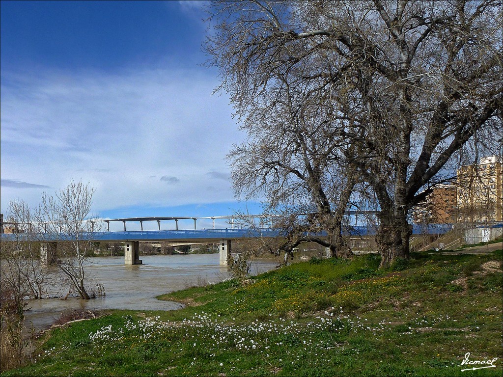 Foto: 130310-19 AZUD LORENZO PARDO - Zaragoza (Aragón), España