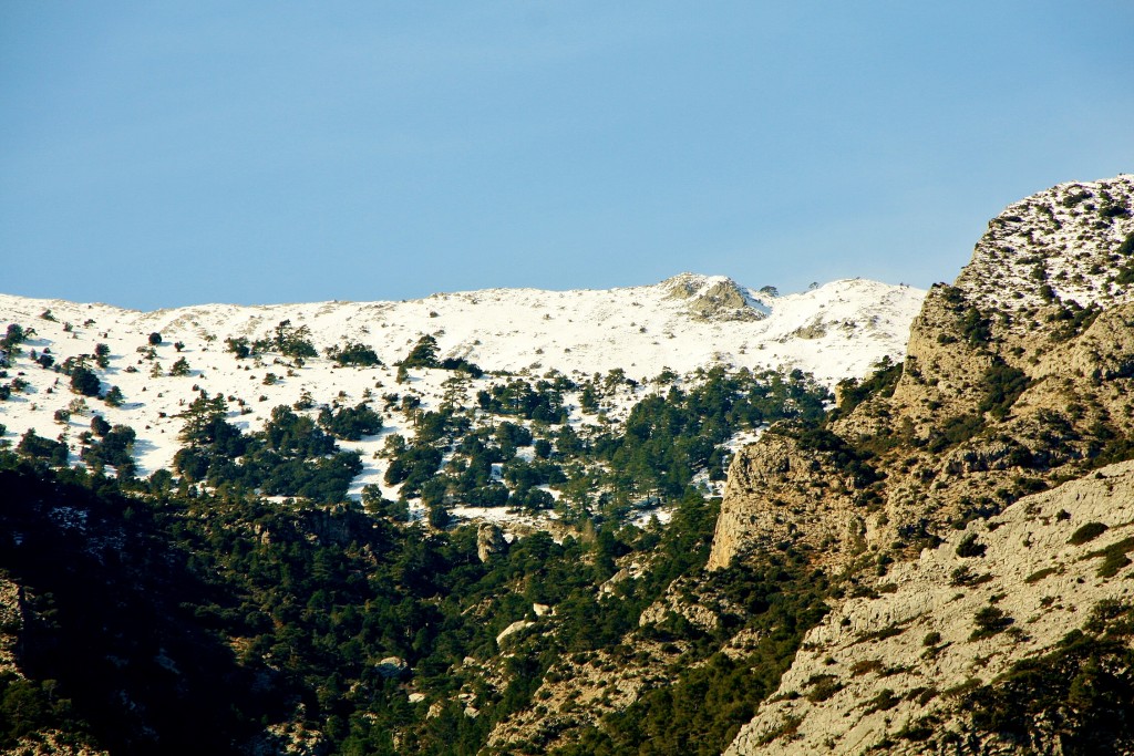 Foto: Montañas nevadas - Paüls (Tarragona), España