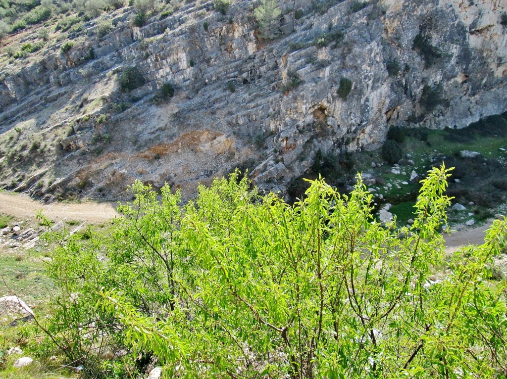 Foto: Vistas desde el pueblo - Pinell de Brai (Tarragona), España