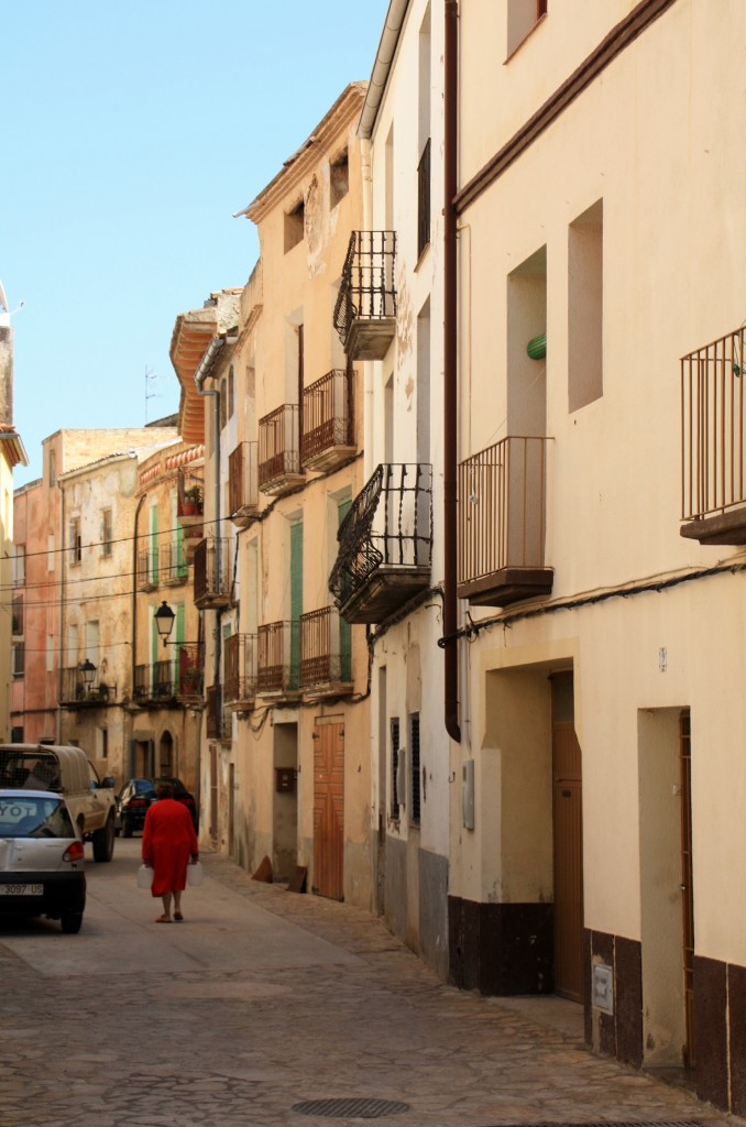 Foto: Vista del pueblo - Pinell de Brai (Tarragona), España