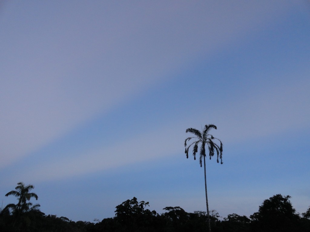 Foto: Formación en V - Shell (Pastaza), Ecuador