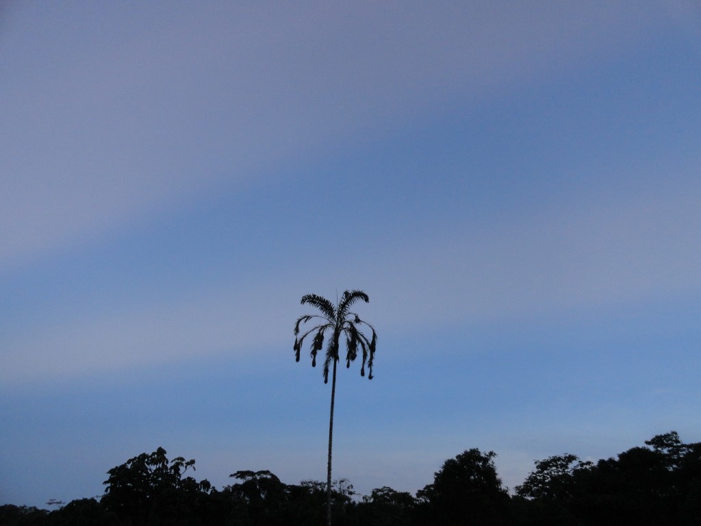 Foto: Paisaje - Shell (Pastaza), Ecuador