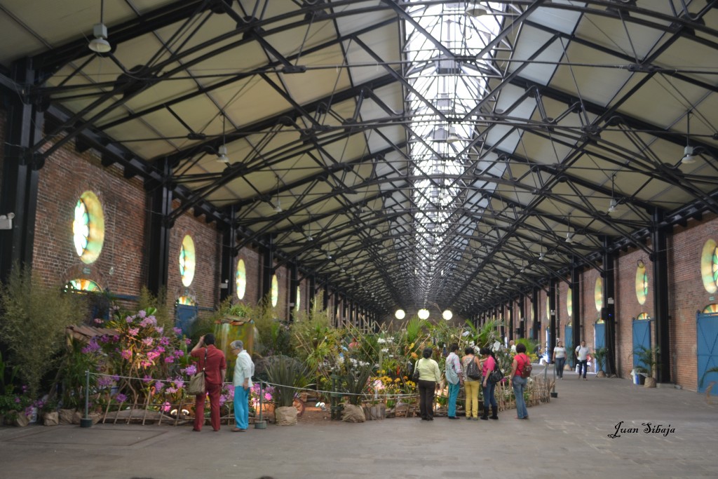 Foto: EXPOSICION DE ORQUIDEAS - San José, Costa Rica