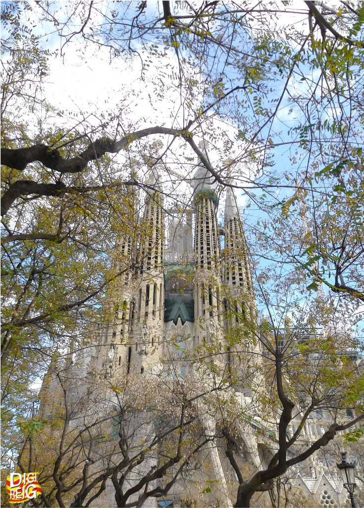 Foto: La Sagrada Familia, entre árboles. - Barcelona (Cataluña), España