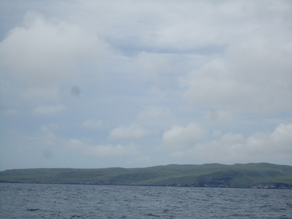 Foto: En el mar - Galápagos San Cristobal (Galápagos), Ecuador