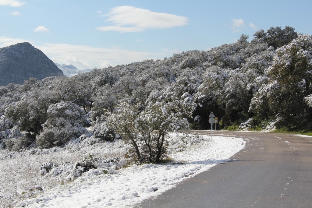 Foto de Montejaque (Málaga), España