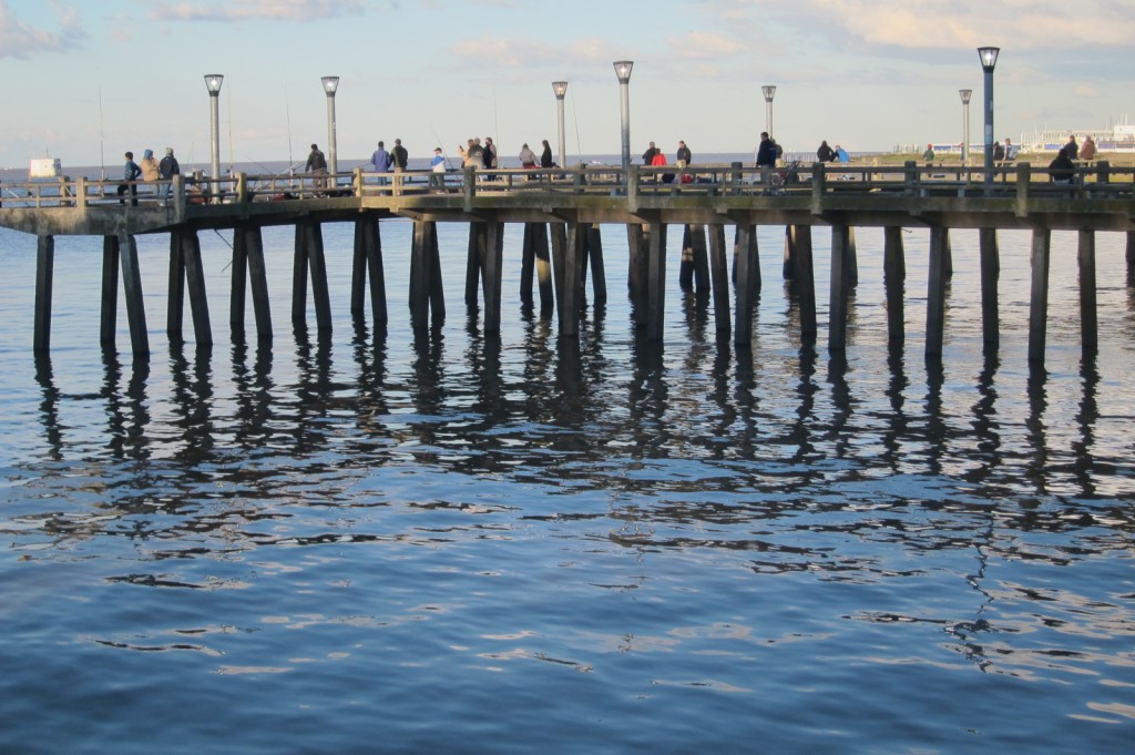 Foto: Costanera - Ciudad Autónoma de Buenos Aires (Buenos Aires), Argentina