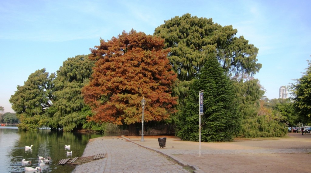 Foto: Parque Tres de Febrero - Ciudad Autónoma de Buenos Aires (Buenos Aires), Argentina