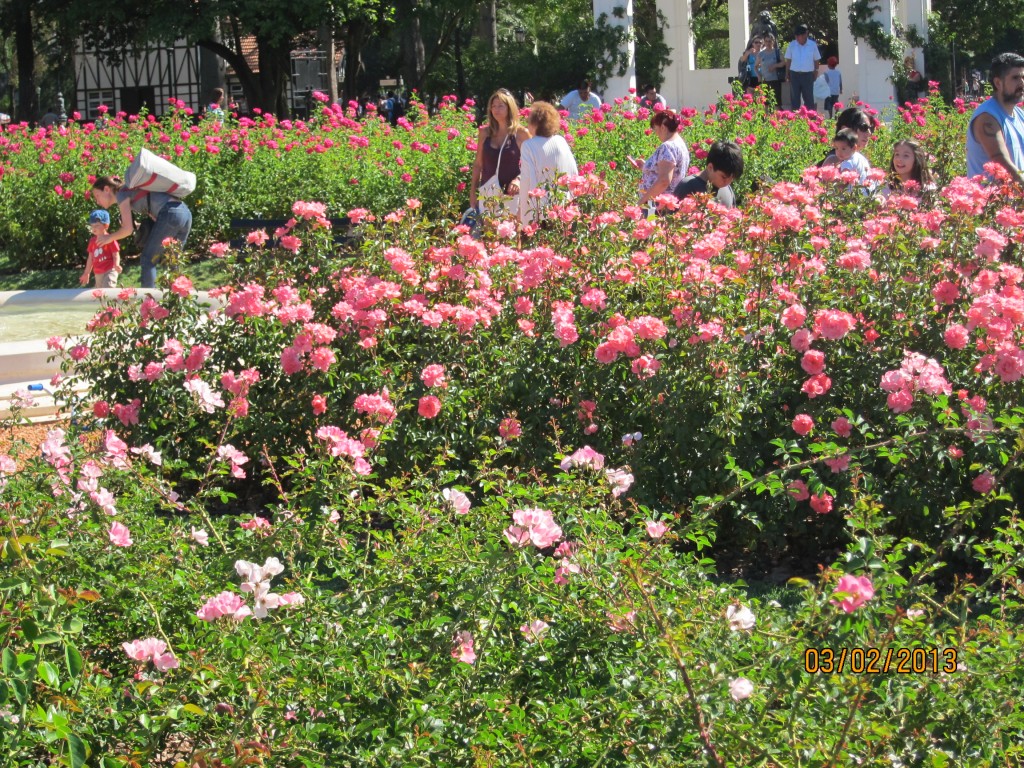 Foto: Rosedal de Palermo - Ciudad Autónoma de Buenos Aires (Buenos Aires), Argentina