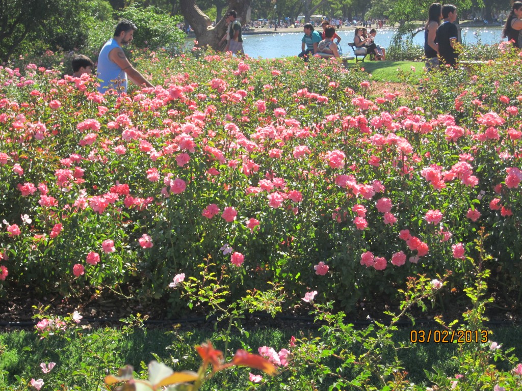 Foto: Rosedal de Palermo - Ciudad Autónoma de Buenos Aires (Buenos Aires), Argentina