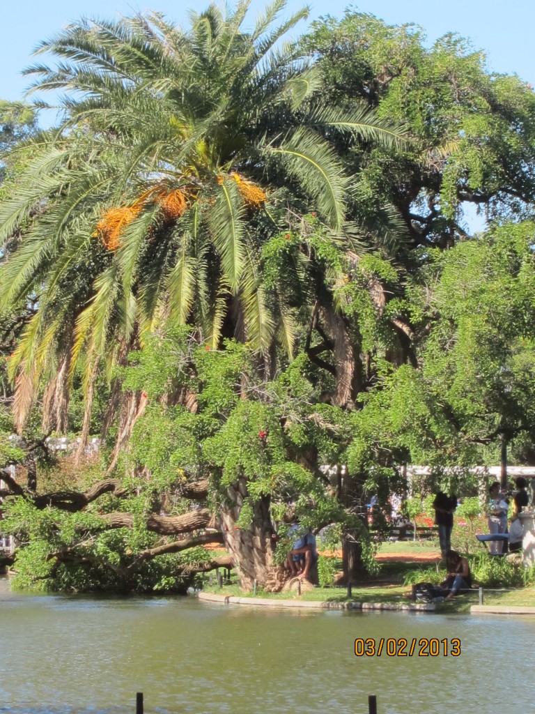 Foto: Rosedal de Palermo - Ciudad Autónoma de Buenos Aires (Buenos Aires), Argentina