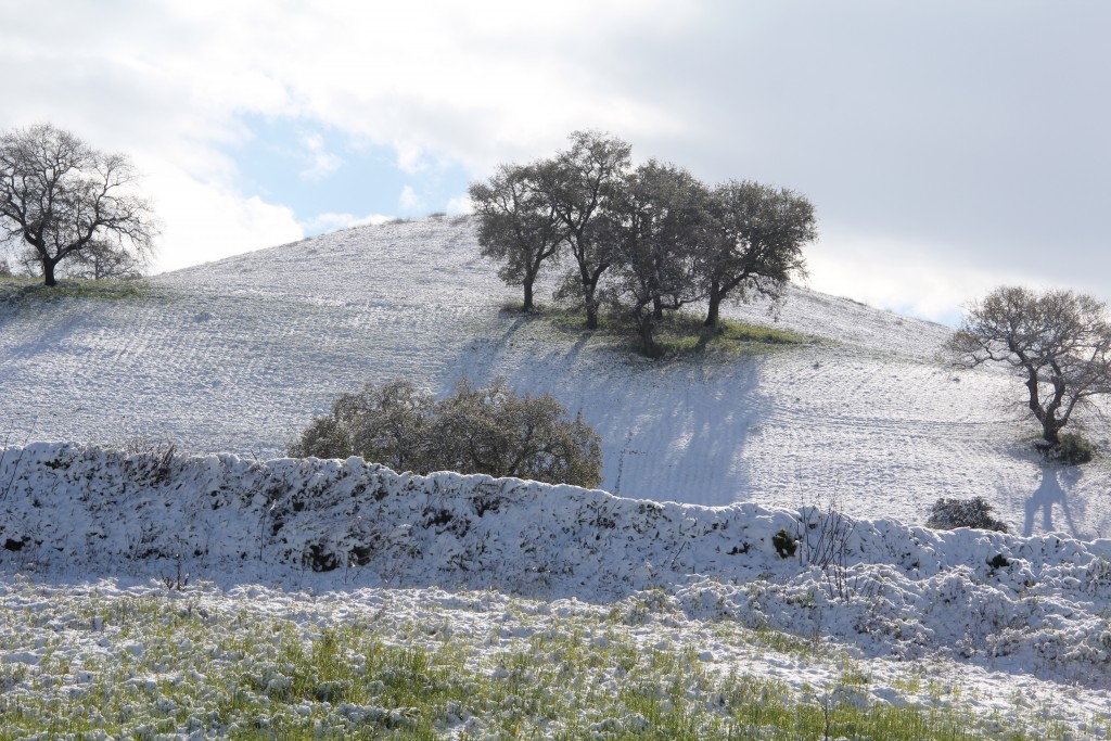 Foto de Montejaque (Málaga), España