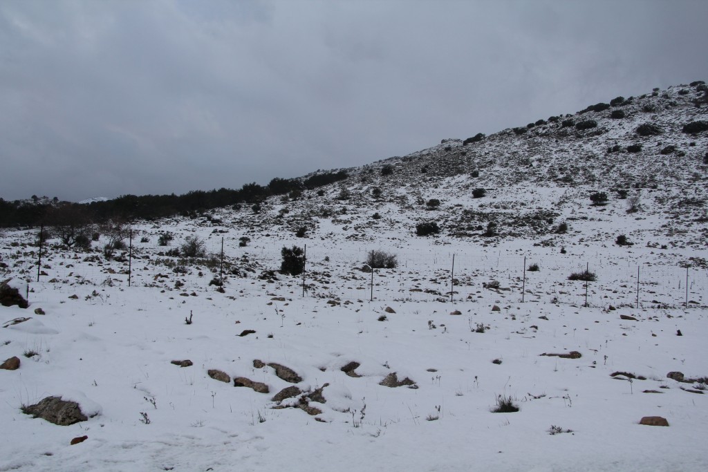 Foto de Montejaque (Málaga), España