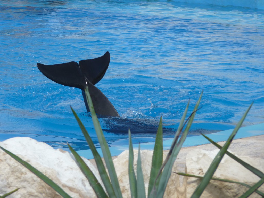 Foto: Tulum - Riviera Maya (Quintana Roo), México