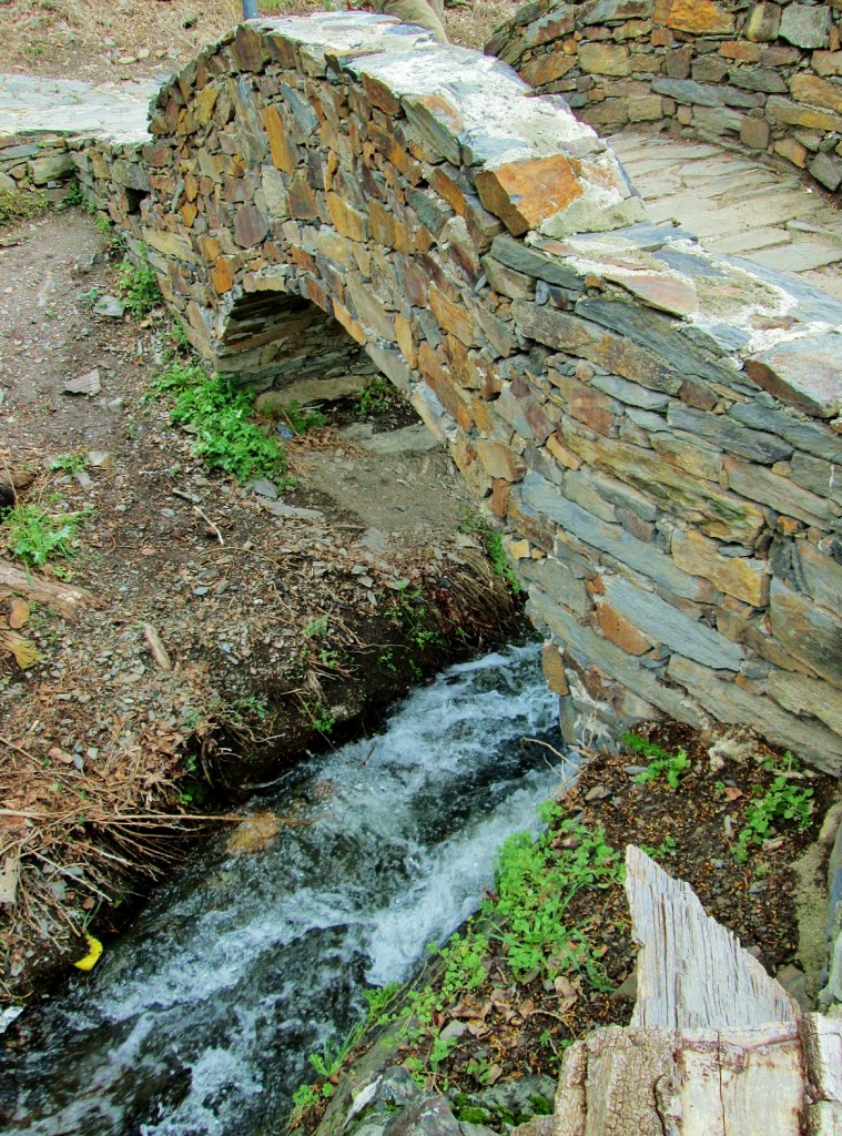 Foto: Arroyo de Patones - Patones de Arriba (Madrid), España