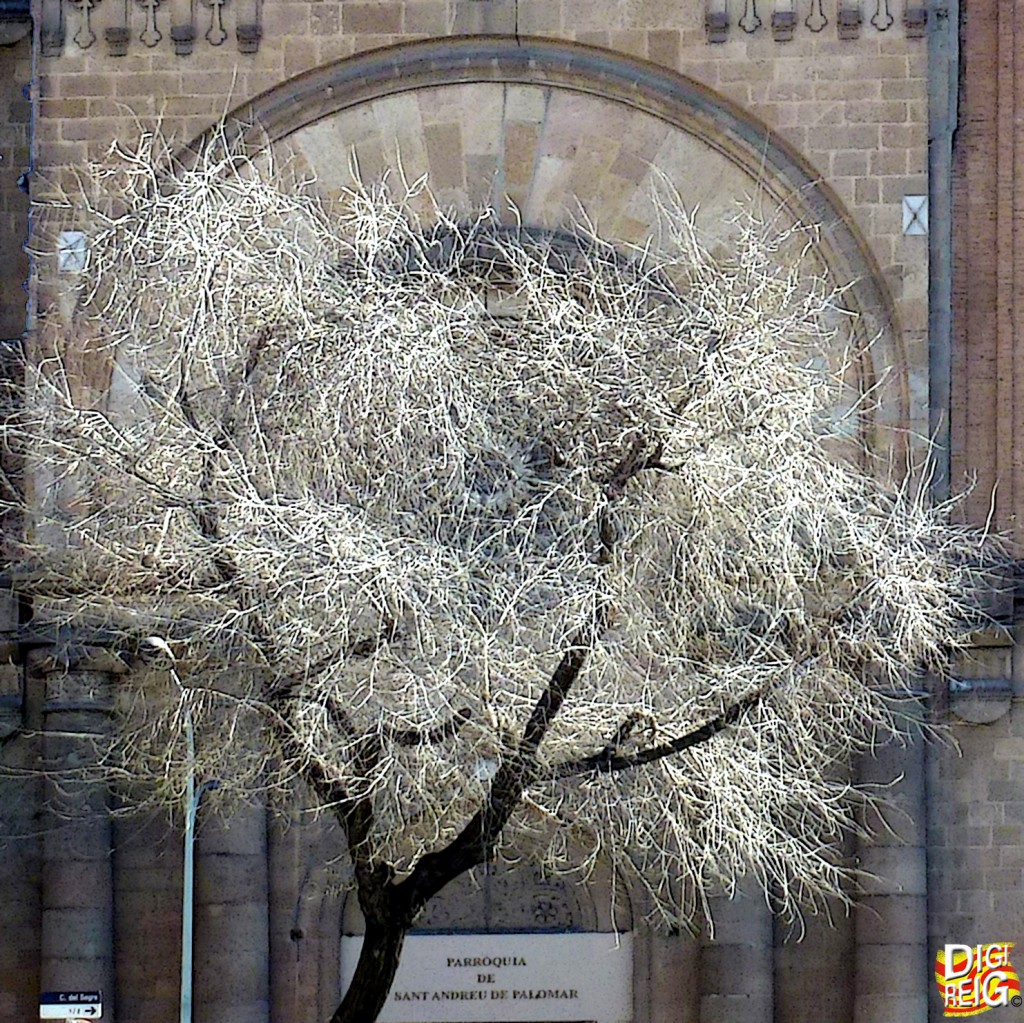 Foto: Templo Parroquial de Sant Andreu de Palomar. - Barcelona (Cataluña), España