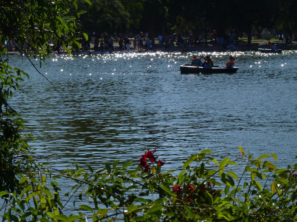 Foto: Parque Tres de Febrero - Ciudad Autónoma de Buenos Aires (Buenos Aires), Argentina