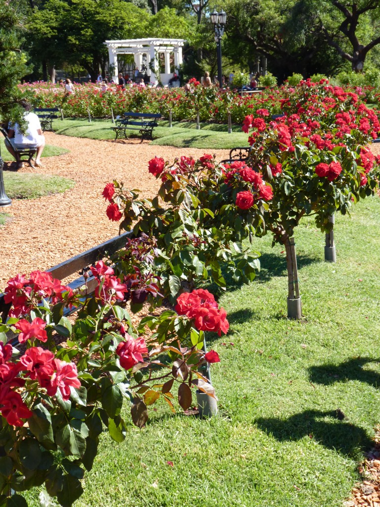 Foto: Parque Tres de Febrero - Ciudad Autónoma de Buenos Aires (Buenos Aires), Argentina