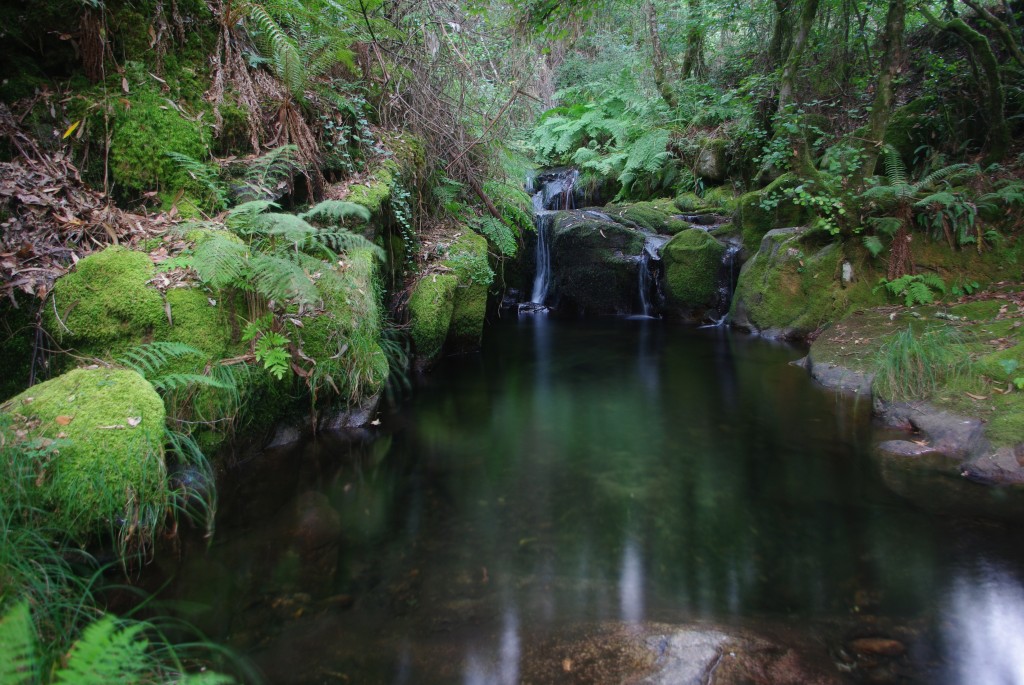 Foto: O salto - Luneda-A cañiza (Pontevedra), España