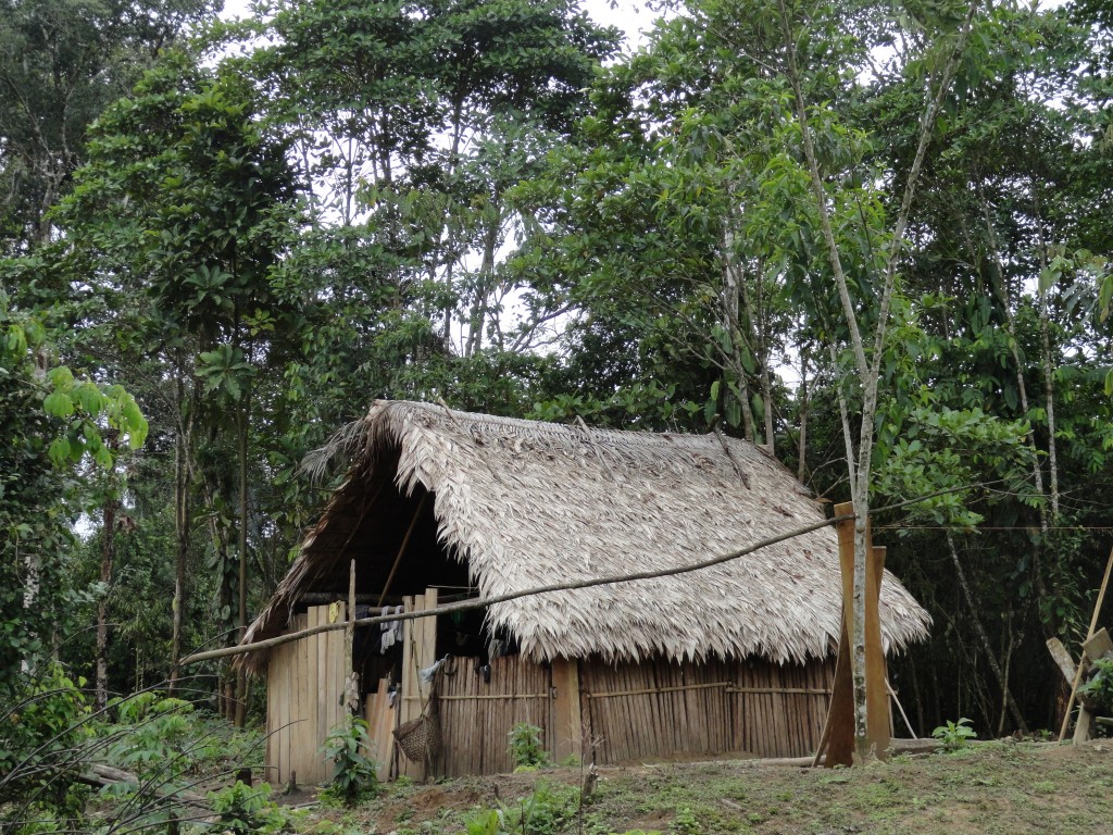 Foto: Choza - Simón Bolívar (Villa Flora) (Pastaza), Ecuador