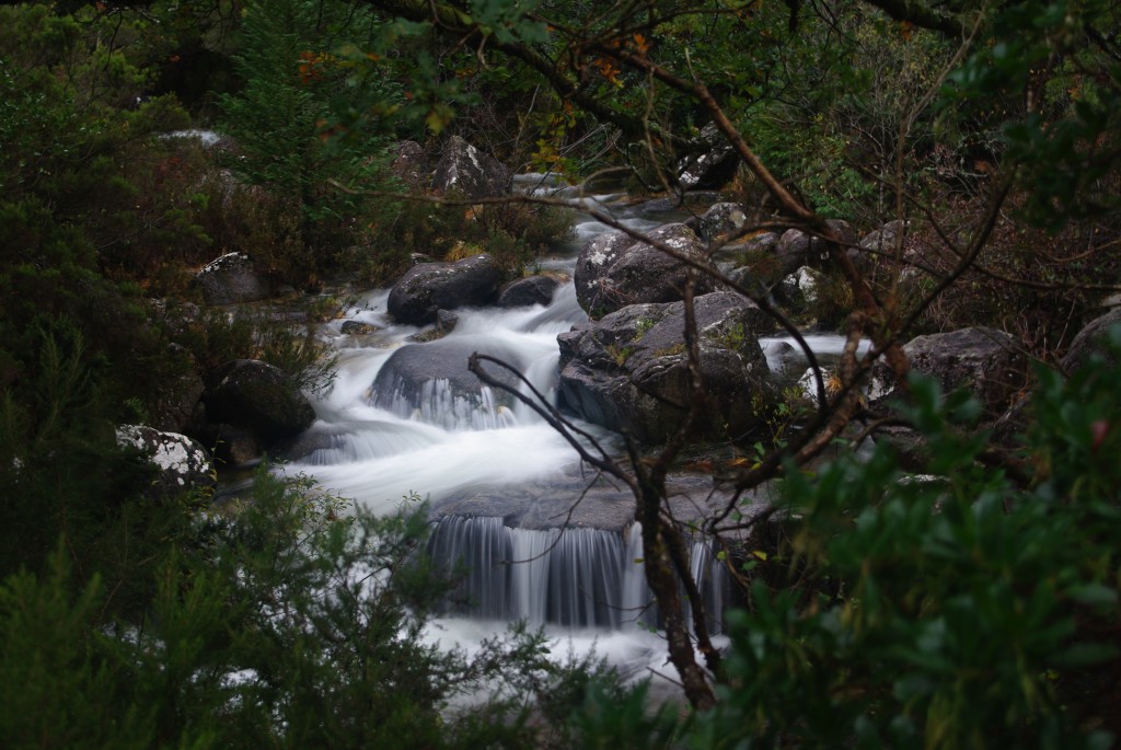 Foto de Mata da Albergaria, Portugal