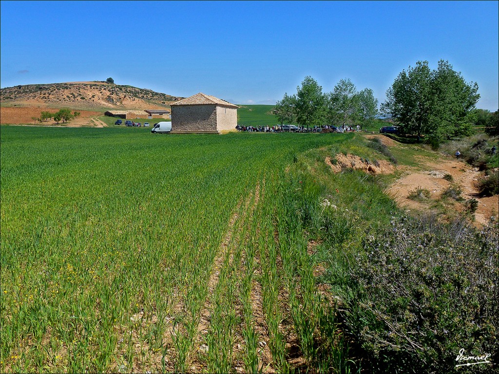 Foto: 130511-02 ALCONCHEL DE ARIZA - Alconchel De Ariza (Zaragoza), España