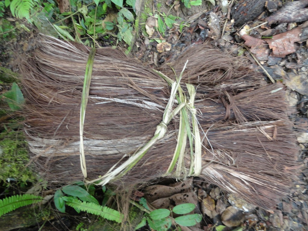 Foto: Fibra - Simón Bolívar (Villa Flora) (Pastaza), Ecuador