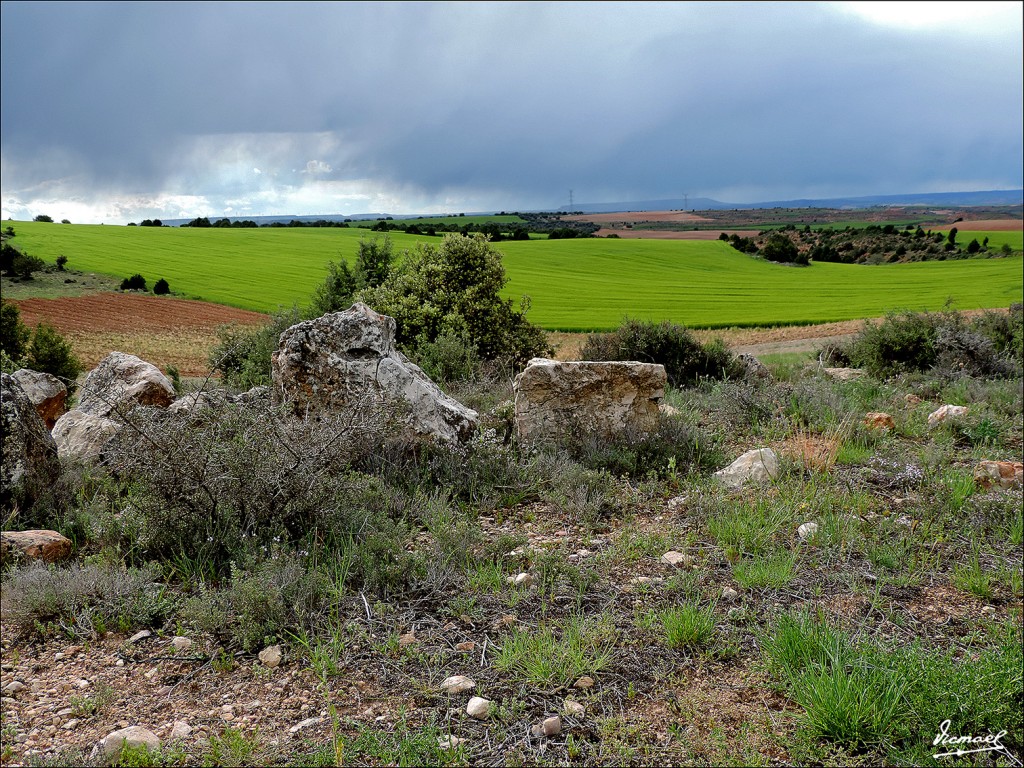 Foto: 130516-26 ALCONCHEL DE ARIZA - Alconchel De Ariza (Zaragoza), España