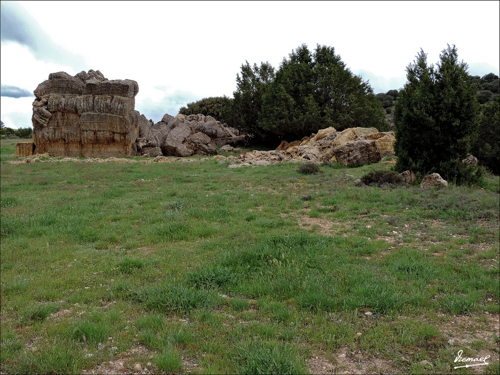 Foto: 130516-28 ALCONCHEL DE ARIZA - Alconchel De Ariza (Zaragoza), España