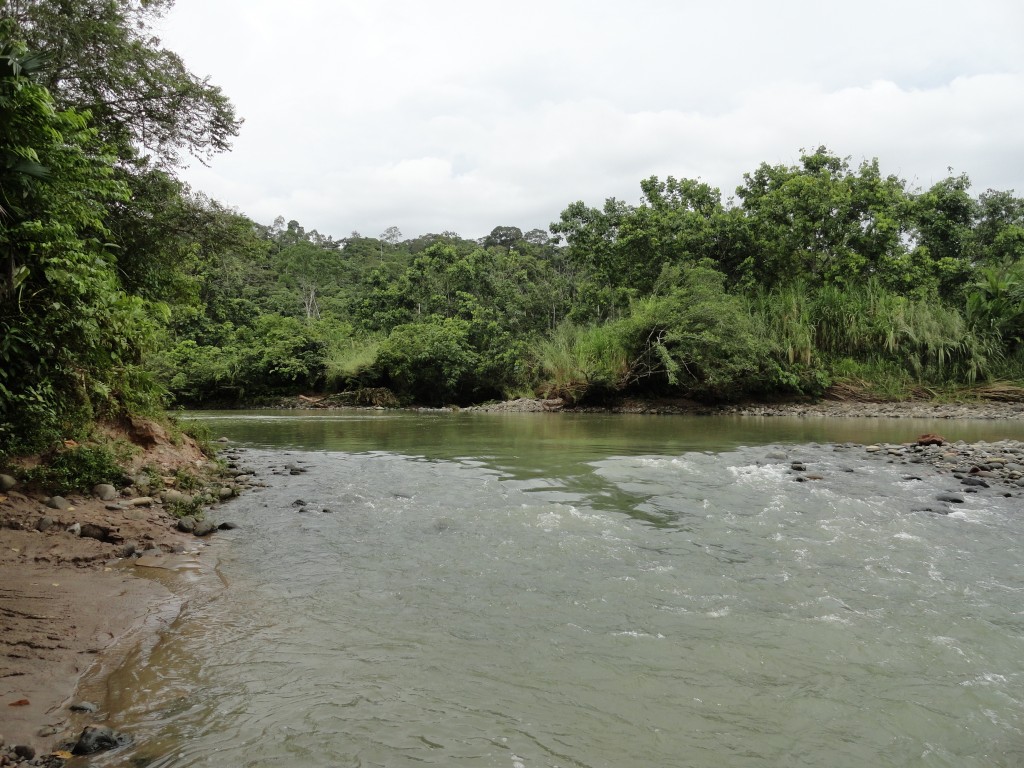 Foto: Rio Chico Cpataza - Simón Bolívar (Villa Flora) (Pastaza), Ecuador