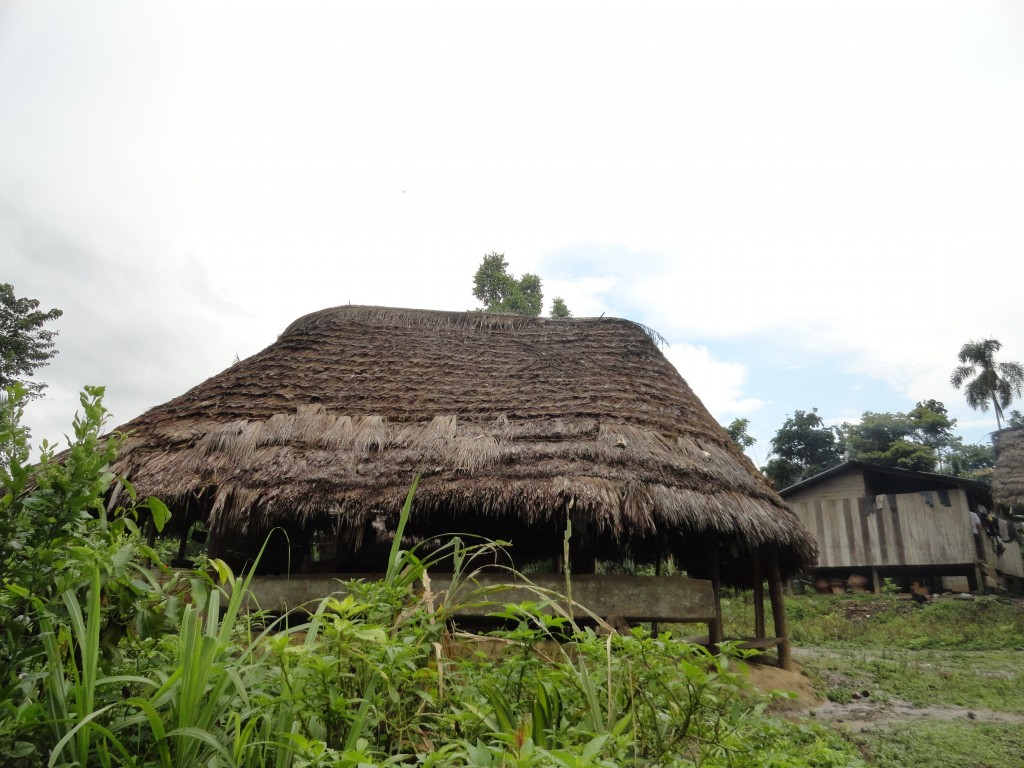 Foto: Choza tipica - Simón Bolívar (Villa Flora) (Pastaza), Ecuador