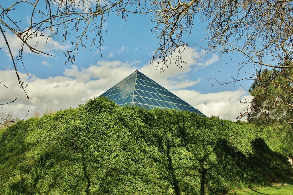 Foto: Zoo - Madrid (Comunidad de Madrid), España