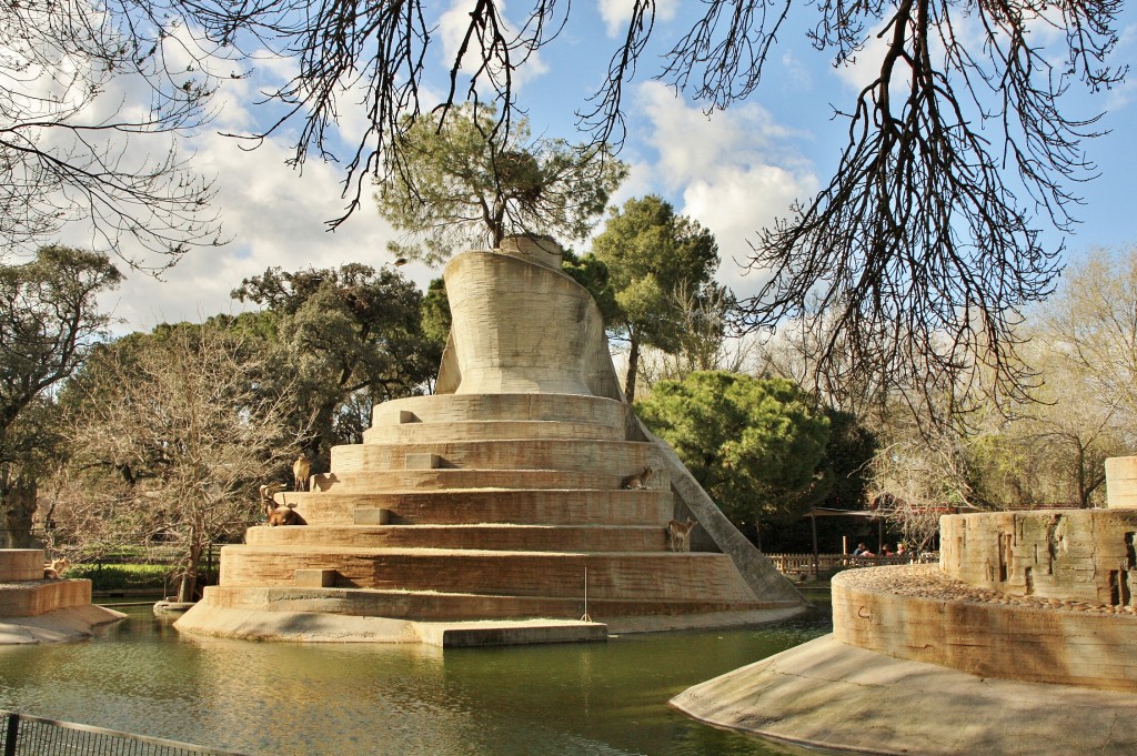 Foto: Zoo - Madrid (Comunidad de Madrid), España