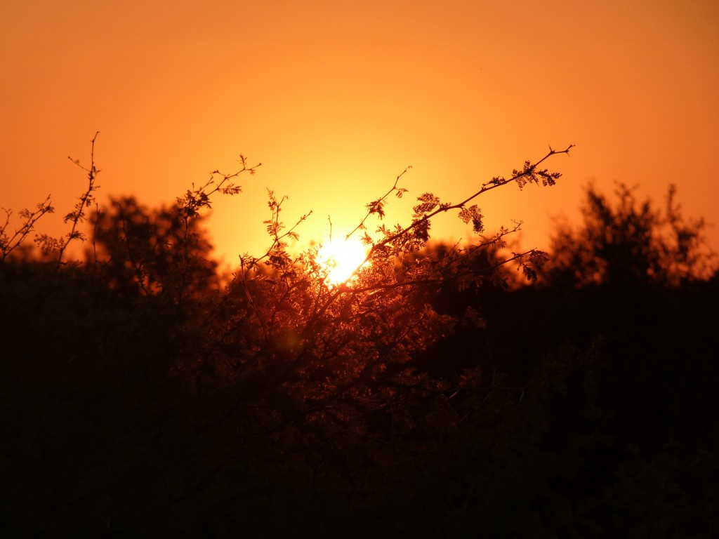 Foto: Atardecer en Guaychú - Gualeguaychú (Entre Ríos), Argentina