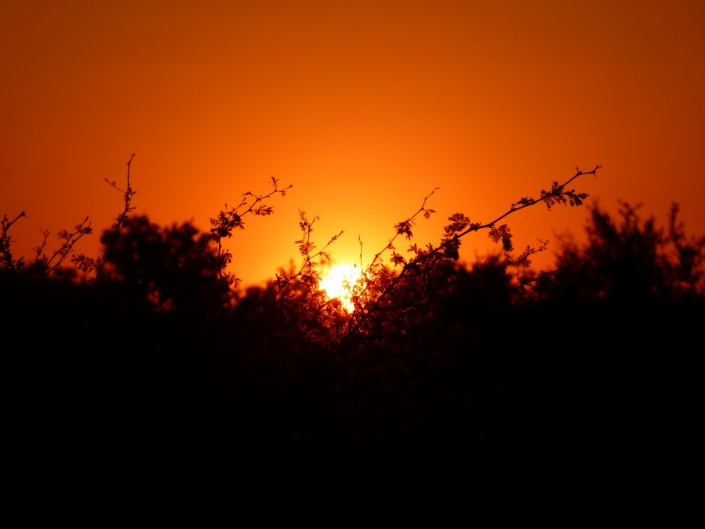 Foto: Atardecer en Guaychú - Gualeguaychú (Entre Ríos), Argentina