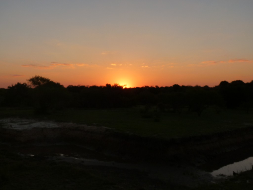 Foto: Atardecer en Guaychú - Gualeguaychú (Entre Ríos), Argentina