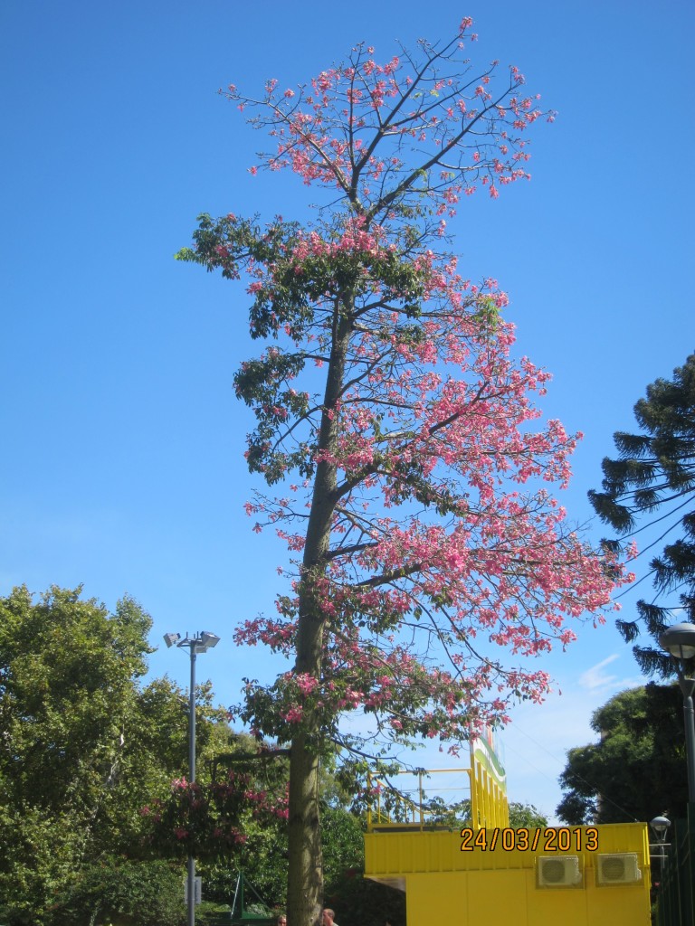 Foto: Parque del Centenario - Ciudad Autónoma de Buenos Aires (Buenos Aires), Argentina