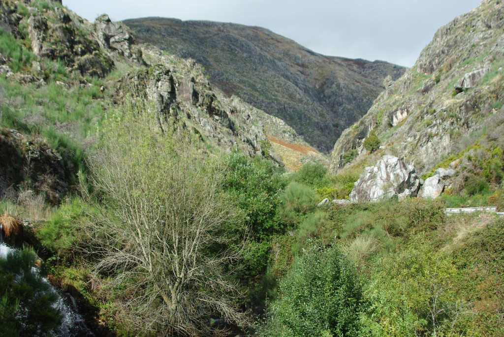 Foto de Campo do Geres (Braga), Portugal