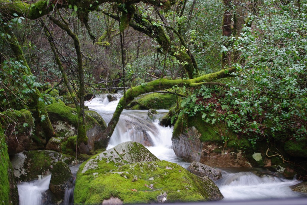 Foto de Terras de Bouro (Braga), Portugal