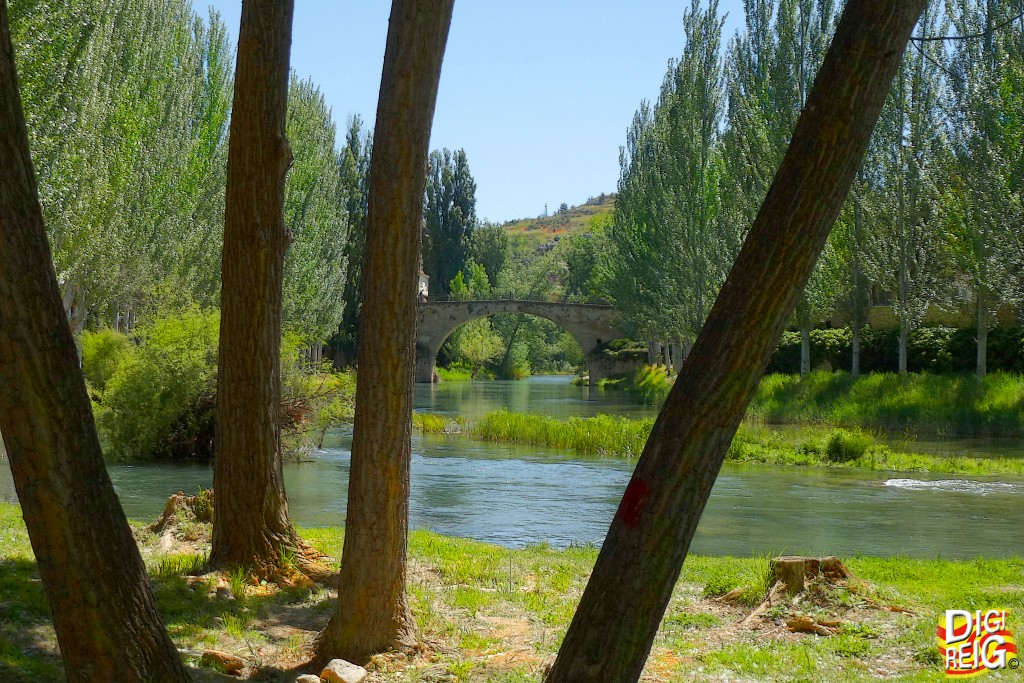 Foto: Rio Tajo. - Trillo (Guadalajara), España