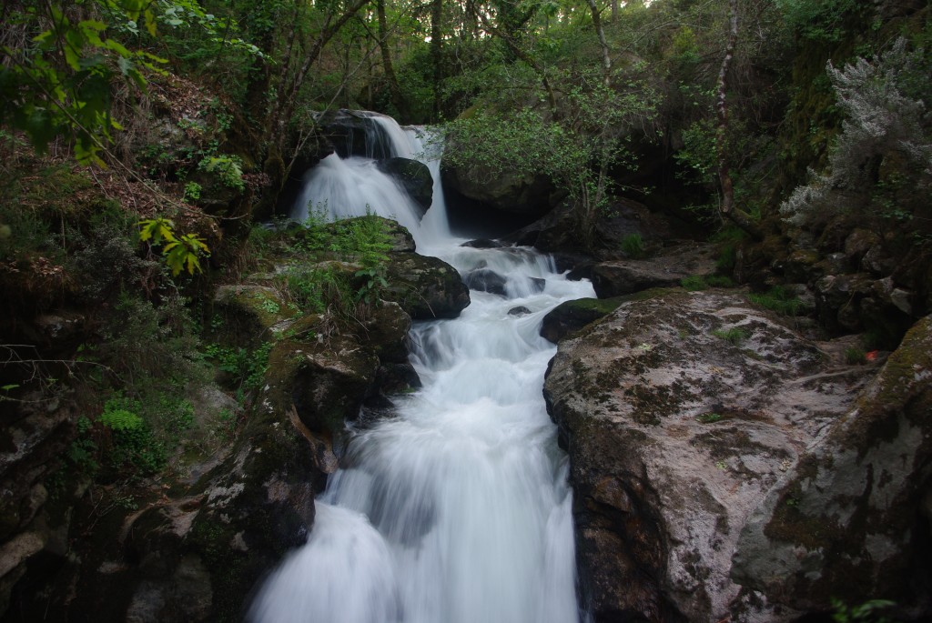 Foto de Creciente (Pontevedra), España