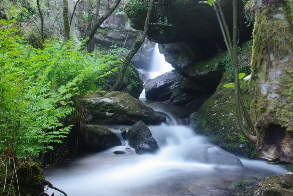 Foto de Creciente (Pontevedra), España