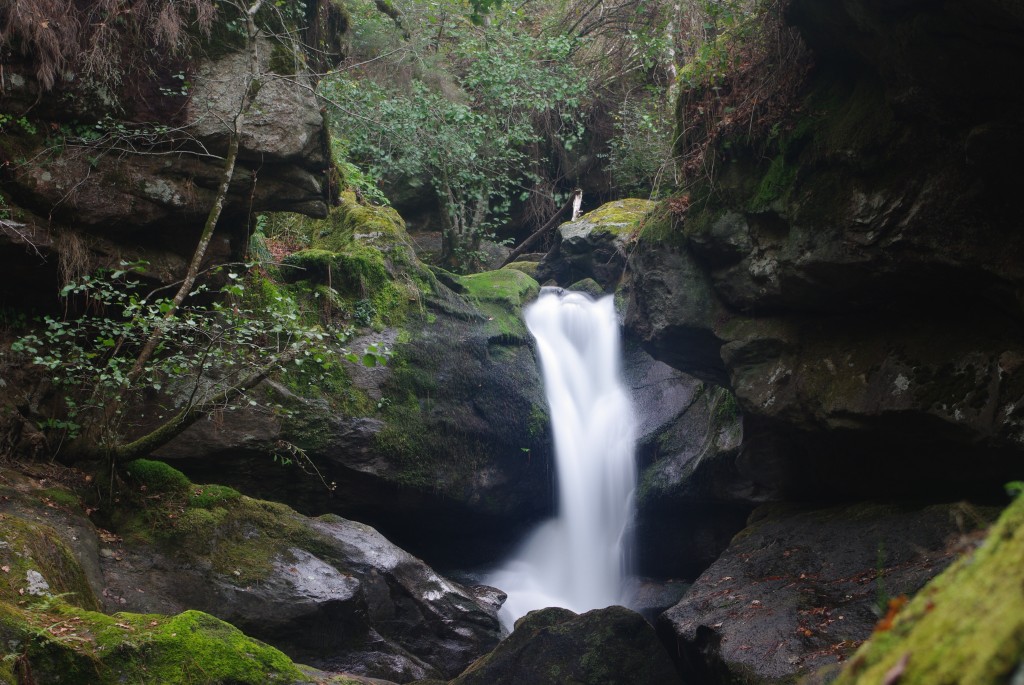 Foto de Creciente (Pontevedra), España