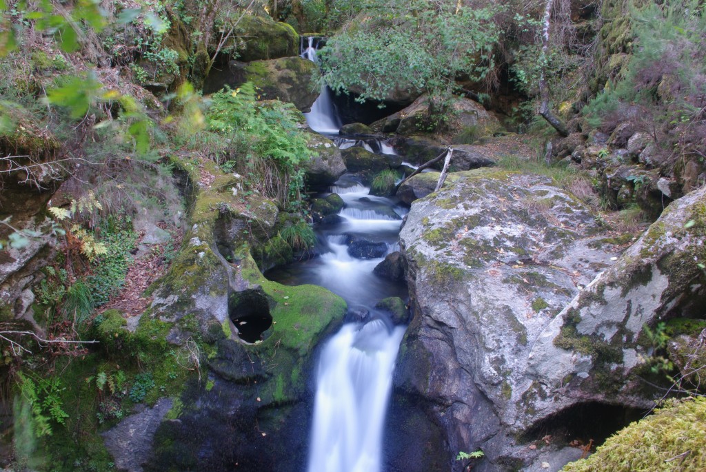 Foto de Creciente (Pontevedra), España