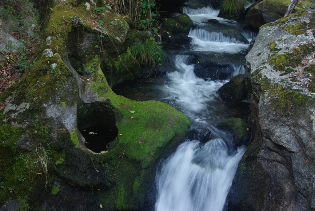 Foto de Creciente (Pontevedra), España