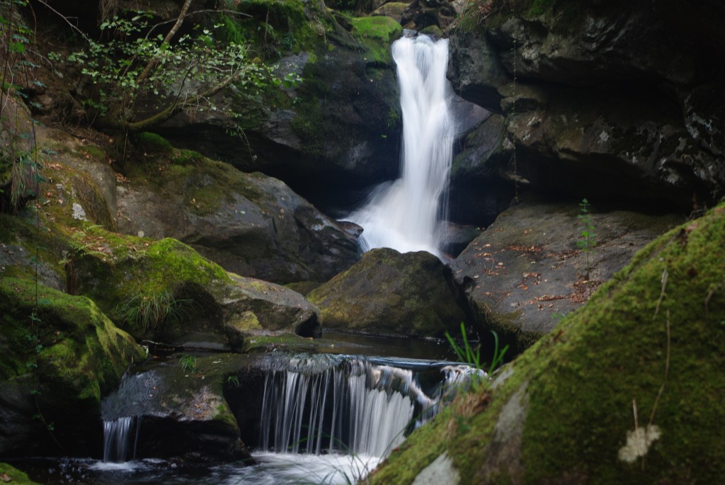 Foto de Creciente (Pontevedra), España