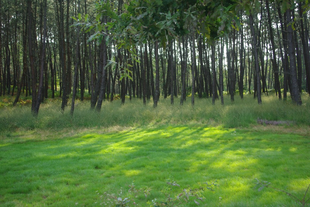 Foto de Valga (Pontevedra), España