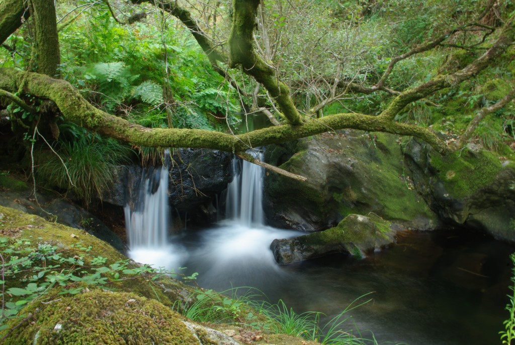 Foto de Valga (Pontevedra), España