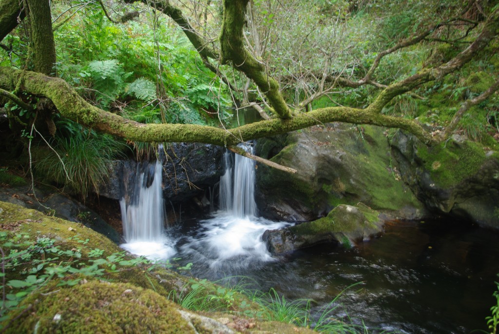 Foto de Valga (Pontevedra), España