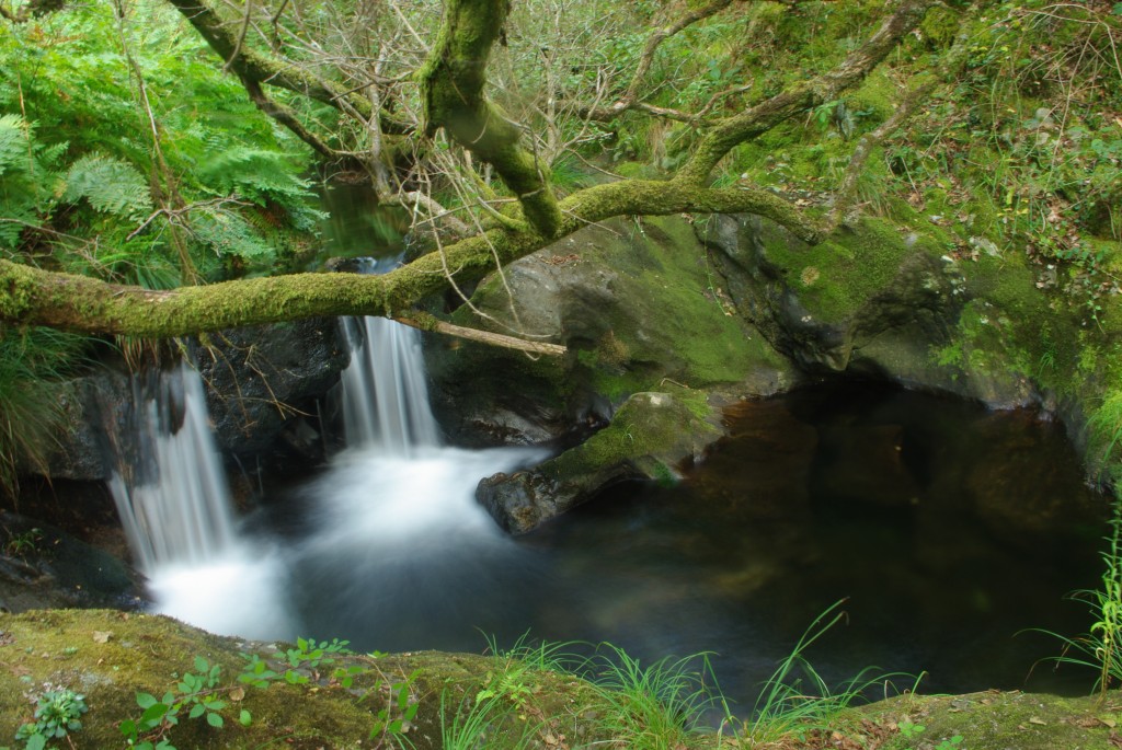 Foto de Valga (Pontevedra), España